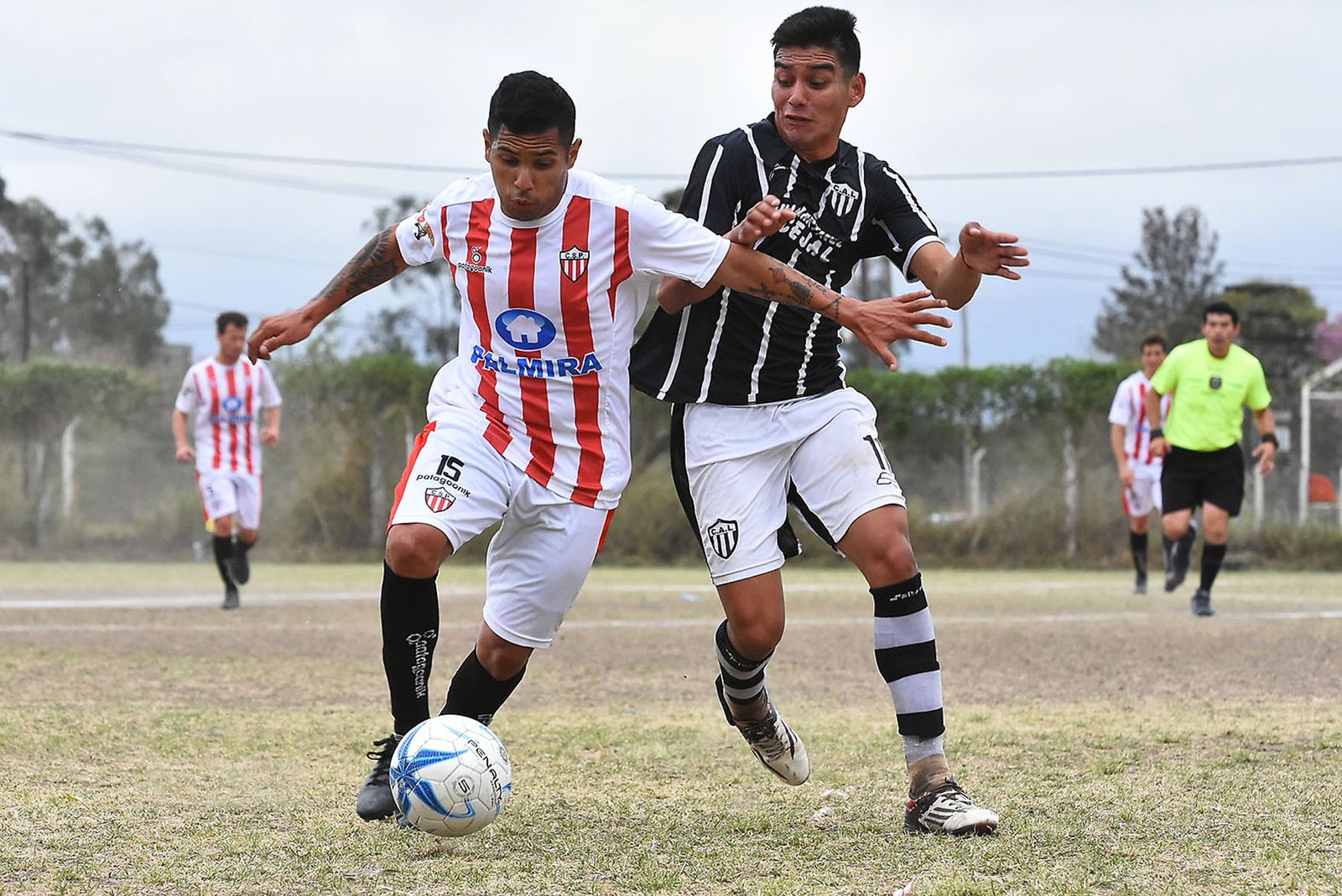 Libertad vs patria 9